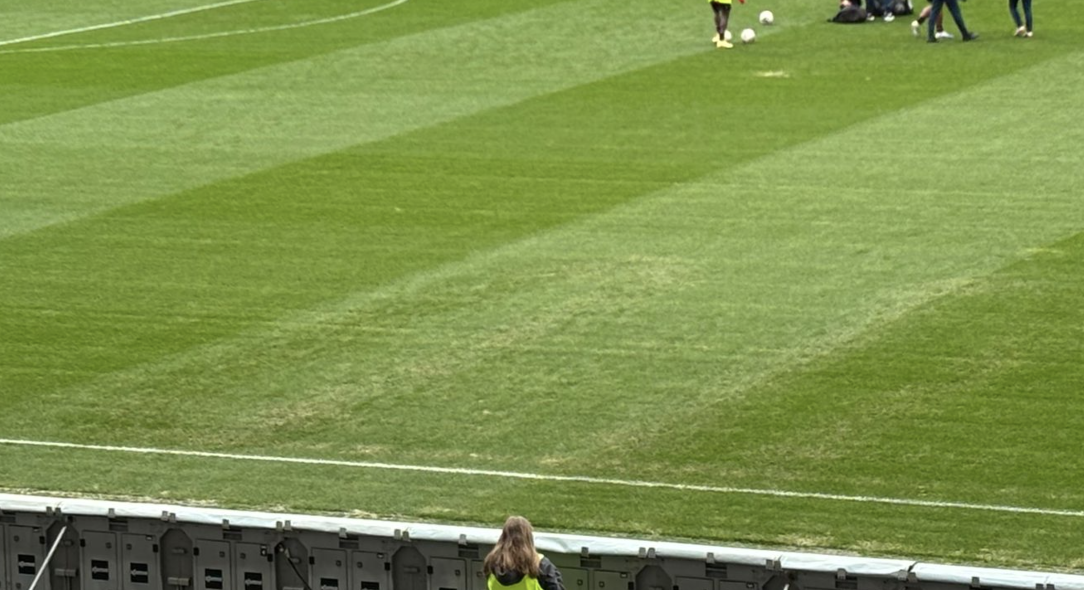 Un champignon sur la pelouse du Stadium ?