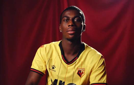 Kevin Keben en patron, Moussa Sissoko inoffensif... j'étais à Birmingham City - Watford pour vous