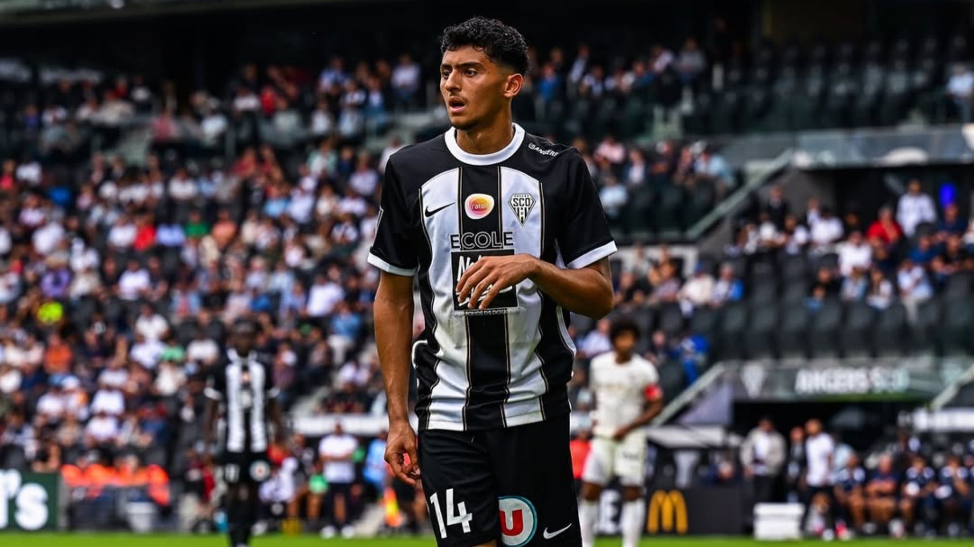 TFC - Angers SCO : le groupe angevin